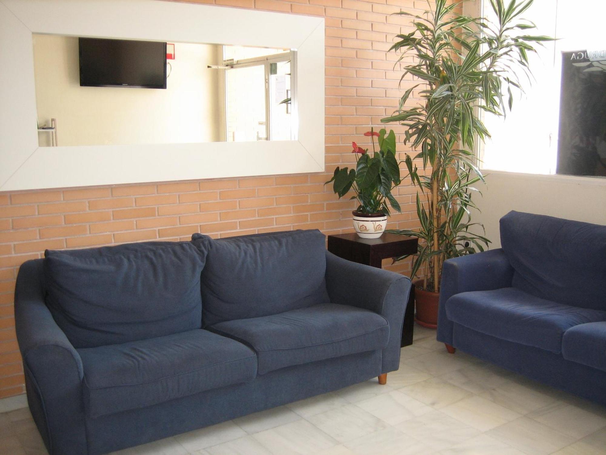 Hostal Madruga Elche Kültér fotó